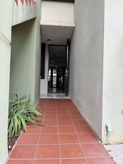 Entire Beach Apartment With View To El Yunque National Rain Forest Río Grande Extérieur photo